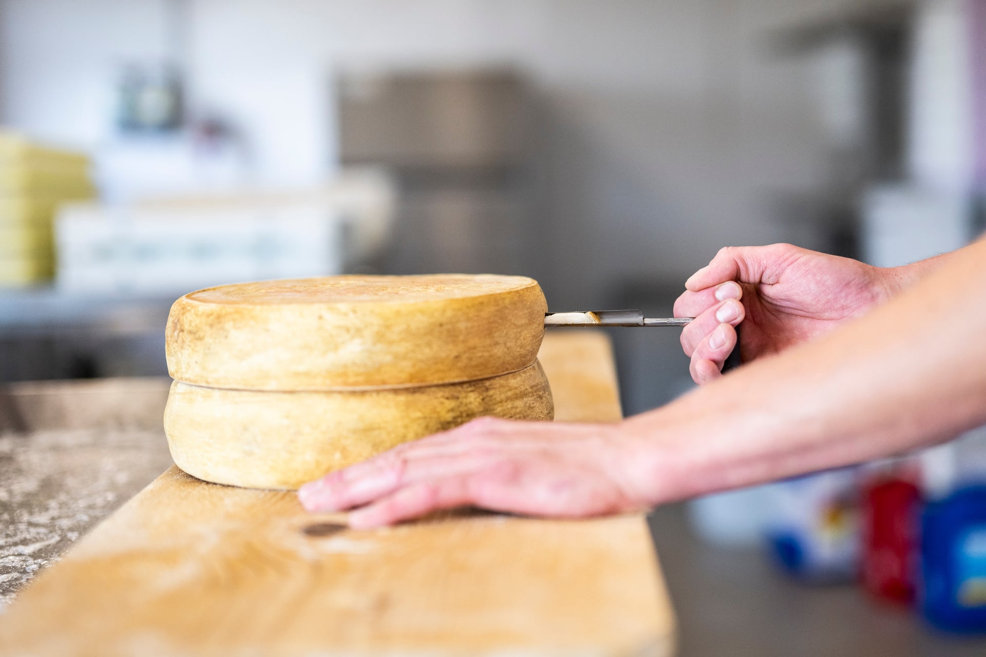 NORDSUD_MOUDON_FROMAGERIE11