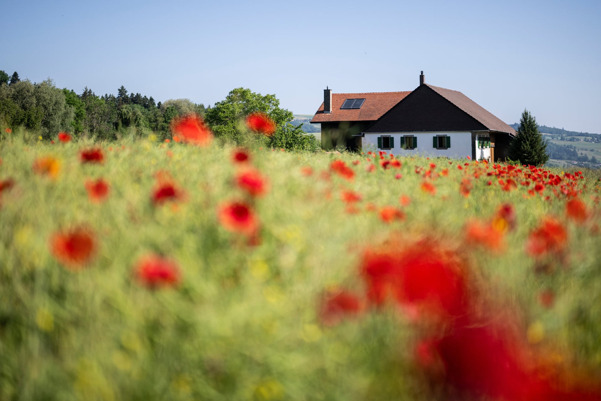 NORDSUD_MOUDON_LANDSCAPE21
