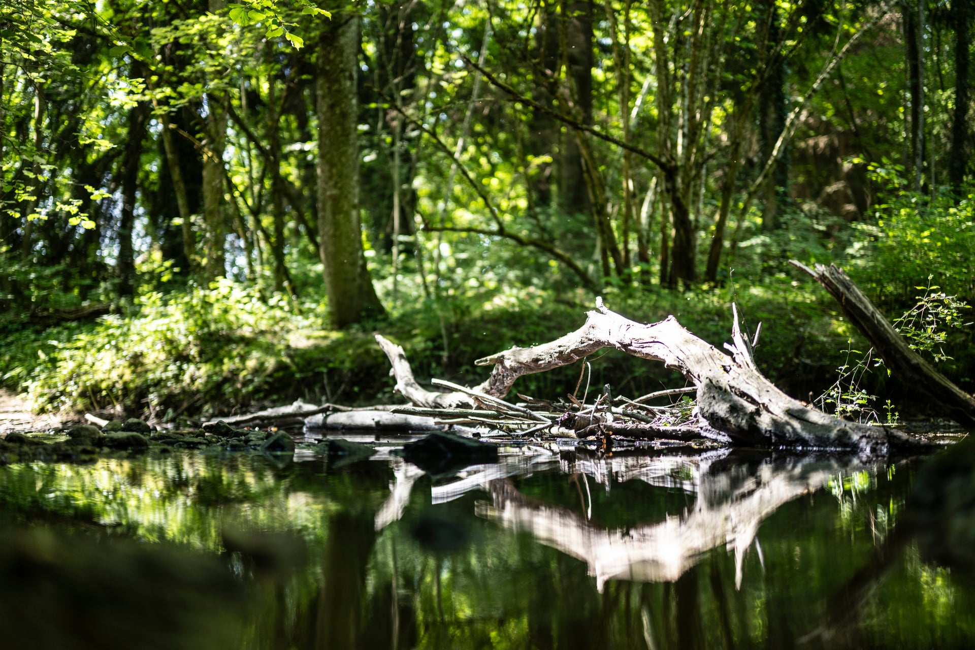 NORDSUD_MOUDON_LANDSCAPE36