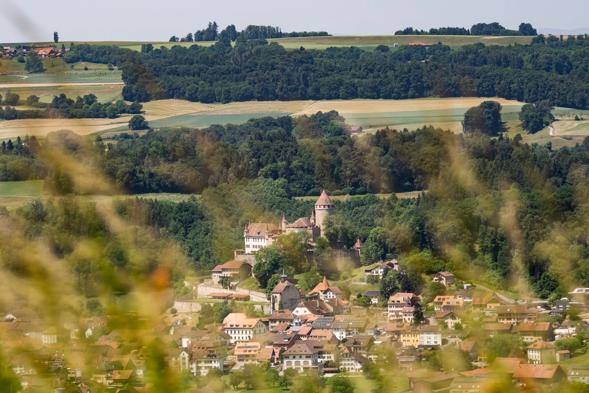 NORDSUD_MOUDON_LANDSCAPE43